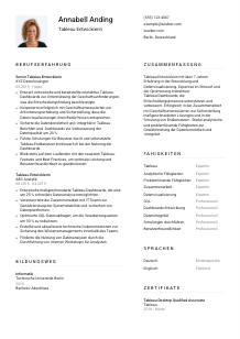 Lebenslauf-Vorlage für Tableau Entwickler*in #1