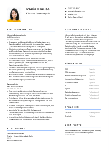Lebenslauf-Vorlage für Klinische*r Datenanalyst*in #2