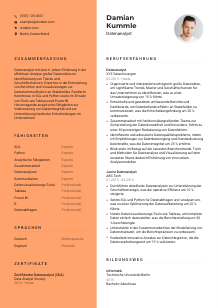 Lebenslauf-Vorlage für Datenanalyst*in #3