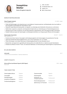 Lebenslauf-Muster für Daten-Eingabe-Analyst*in