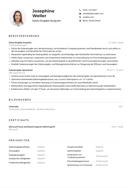 Lebenslauf-Muster für Daten-Eingabe-Analyst*in