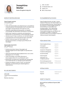 Lebenslauf-Vorlage für Daten-Eingabe-Analyst*in #2