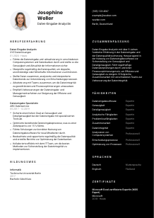 Lebenslauf-Vorlage für Daten-Eingabe-Analyst*in #3