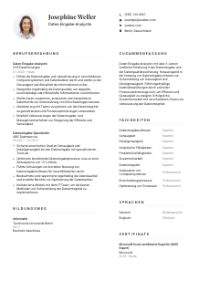 Lebenslauf-Vorlage für Daten-Eingabe-Analyst*in #1