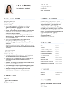 Lebenslauf-Vorlage für Datenbericht-Analyst*in #1