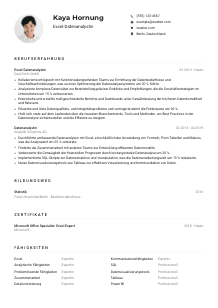 Lebenslauf-Muster für Excel-Datenanalyst*in