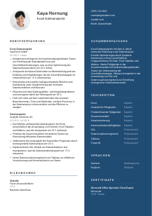 Lebenslauf-Vorlage für Excel-Datenanalyst*in #2