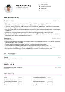 Lebenslauf-Vorlage für Excel-Datenanalyst*in #3
