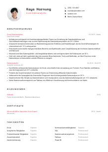 Lebenslauf-Vorlage für Excel-Datenanalyst*in #1