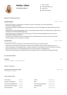 Lebenslauf-Muster für Geodatenanalyst*in