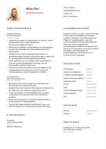 Lebenslauf-Vorlage für Geodatenanalyst*in #2