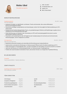 Lebenslauf-Vorlage für Geodatenanalyst*in #3