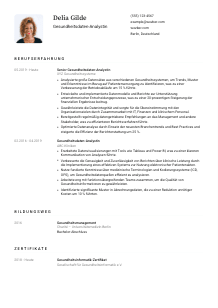 Lebenslauf-Vorlage für Gesundheitsdaten-Analyst*in #1