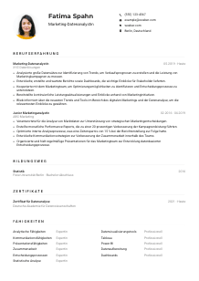 Lebenslauf-Muster für Marketing-Datenanalyst*in