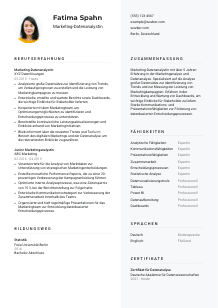 Lebenslauf-Vorlage für Marketing-Datenanalyst*in #2