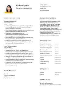 Lebenslauf-Vorlage für Marketing-Datenanalyst*in #1