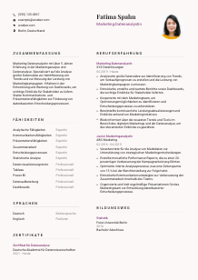 Lebenslauf-Vorlage für Marketing-Datenanalyst*in #3