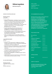 Lebenslauf-Vorlage für Betriebsanalyst*in #2