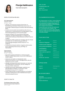 Lebenslauf-Vorlage für SQL-Datenanalyst*in #2