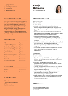 Lebenslauf-Vorlage für SQL-Datenanalyst*in #3