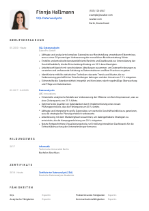 Lebenslauf-Vorlage für SQL-Datenanalyst*in #1