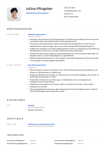 Lebenslauf-Vorlage für Statistik-Datenanalyst*in #1