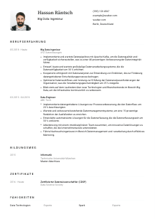 Lebenslauf-Vorlage für Big Data Ingenieur*in #1
