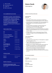 Lebenslauf-Vorlage für Dateningenieur*in #3