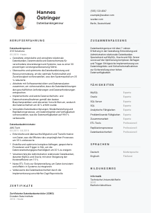 Lebenslauf-Vorlage für Datenbankingenieur*in #2