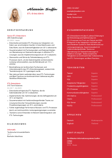 Lebenslauf-Vorlage für ETL-Entwickler*in #3
