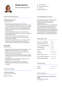 Lebenslauf-Vorlage für Datenverwaltungsanalyst*in #2
