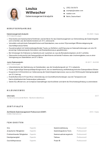 Lebenslauf-Muster für Datenmanagement-Analyst*in