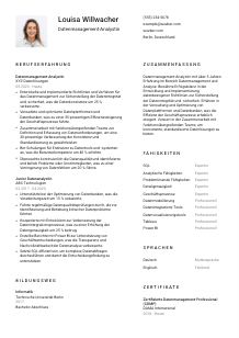 Lebenslauf-Vorlage für Datenmanagement-Analyst*in #1