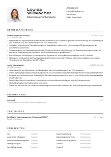 Lebenslauf-Vorlage für Datenmanagement-Analyst*in #2