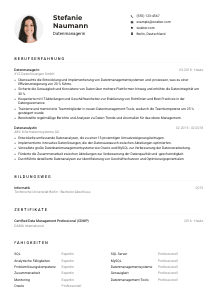 Lebenslauf-Muster für Datenmanager*in