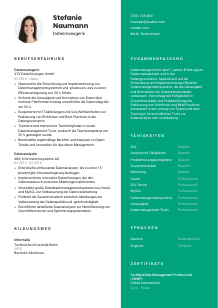 Lebenslauf-Vorlage für Datenmanager*in #2