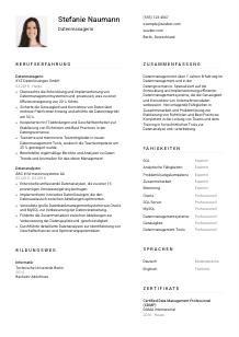 Lebenslauf-Vorlage für Datenmanager*in #1