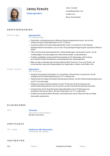Lebenslauf-Vorlage für Datenspezialist*in #1