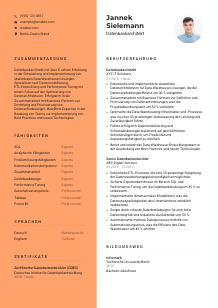 Lebenslauf-Vorlage für Datenbankarchitekt*in #3