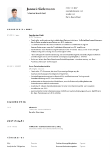 Lebenslauf-Vorlage für Datenbankarchitekt*in #1