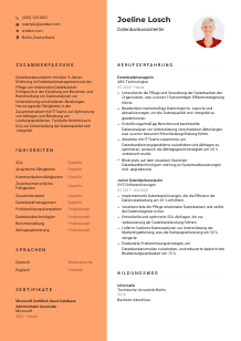 Lebenslauf-Vorlage für Datenbankassistent*in #3