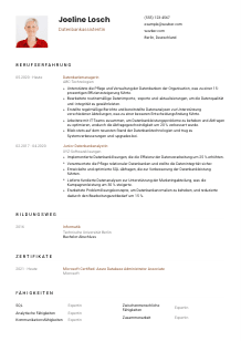 Lebenslauf-Vorlage für Datenbankassistent*in #1