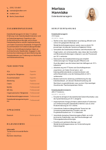 Lebenslauf-Vorlage für Datenbankmanager*in #3