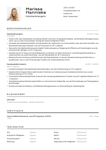 Lebenslauf-Vorlage für Datenbankmanager*in #2