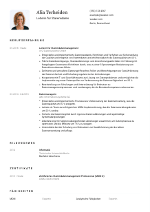 Lebenslauf-Vorlage für Leiter*in für Stammdaten #1