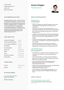 Lebenslauf-Vorlage für Metadatenanalyst*in #2