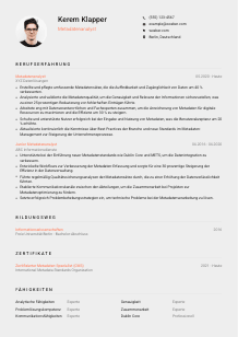 Lebenslauf-Vorlage für Metadatenanalyst*in #3