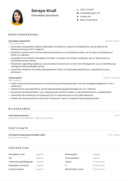 Lebenslauf-Muster für Datenabbau-Spezialist*in