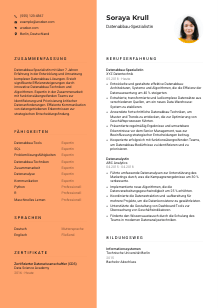 Lebenslauf-Vorlage für Datenabbau-Spezialist*in #3