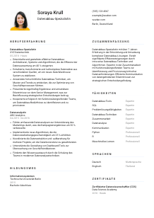 Lebenslauf-Vorlage für Datenabbau-Spezialist*in #1